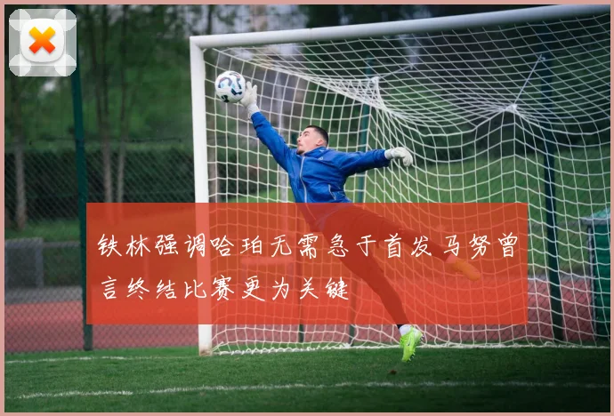 铁林强调哈珀无需急于首发马努曾言终结比赛更为关键